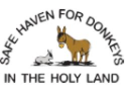 safe haven for donkeys in the holy land|About Us .